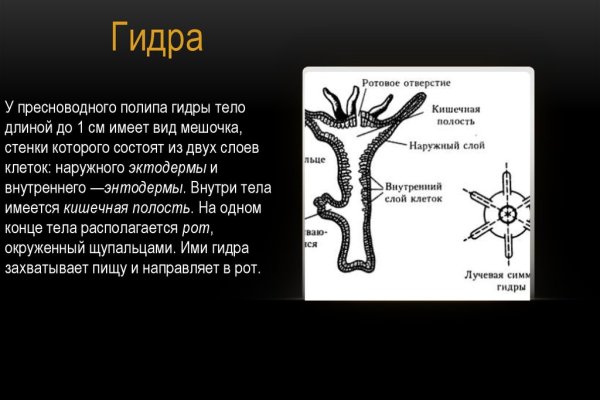 Проблемы со входом на кракен