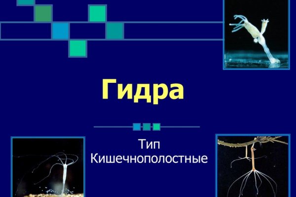 Как зайти на кракен через тор браузер