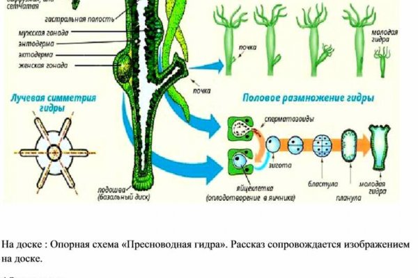 Кракен шоп зеркало