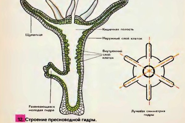 Кракен магазин krakens13 at