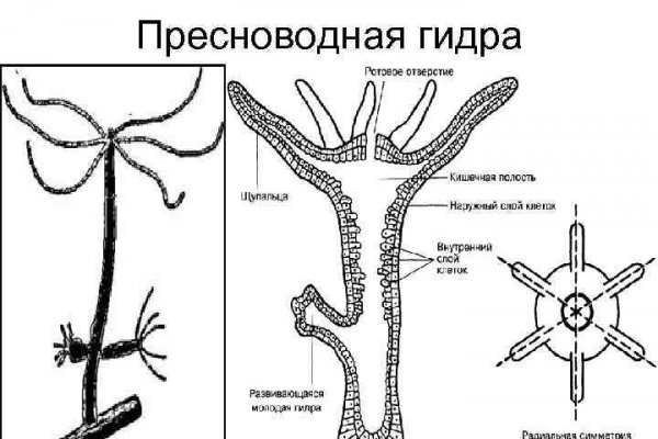 Сайт кракен магазин kraken2 tor2 xyz