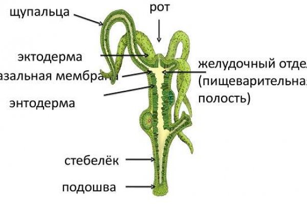 Kraken 14 at сайт